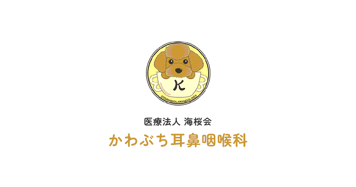 徳島市 耳鼻科 中耳炎 アレルギー性鼻炎の外観